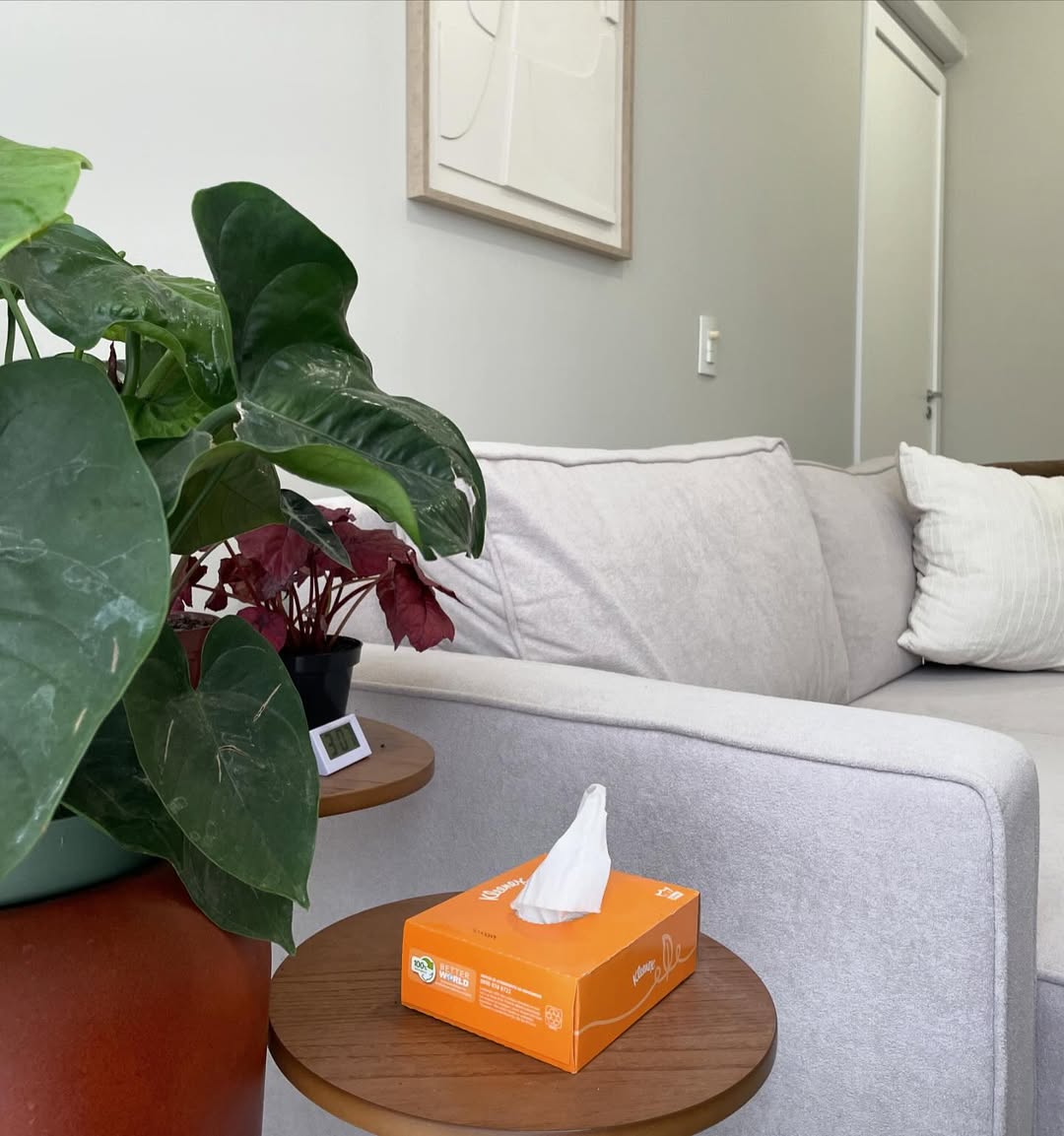 Snapinsta.app_454498022_844504477297509_8054060935395857418_n_1080 - Copia